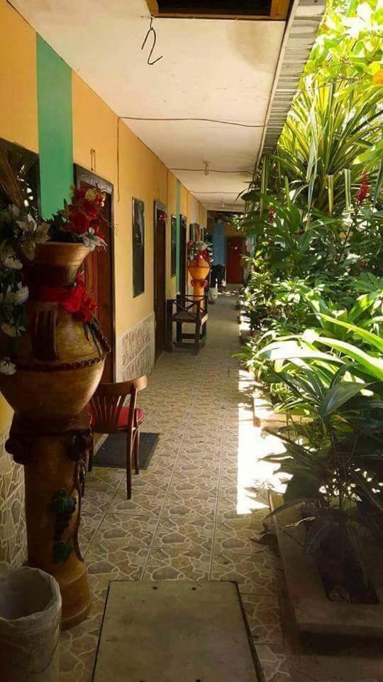 Hotel Economica Coxen Hole Ngoại thất bức ảnh